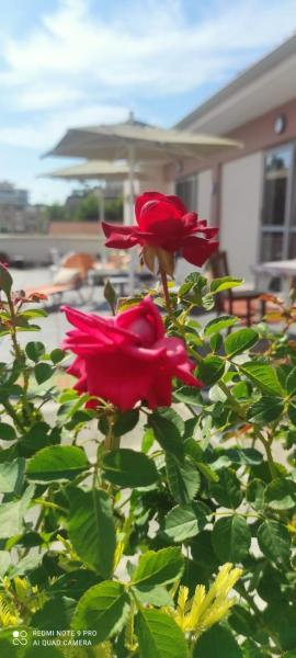 Illyrian apartment Sun
